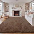 8x10 Area Rugs for Living Room: Fluffy Shag Soft Washable Rug Large Fuzzy Plush Indoor Carpet for Bedroom Nursery Playroom Kids Girls Boys Room (Coffee, 8'x10')