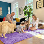 OLANLY Area Rugs for Living Room Bedroom, Machine Washable 4x5.9 ft Soft Fluffy Shaggy Bedside Rug, Indoor Floor Carpet for Kids Girls and Boys, Dorms, Nursery Rooms, Home Decor Aesthetic, Purple