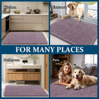 OLANLY Dog Door Mat for Muddy Paws 34x21, Super Absorbent Chenille Mud Mat