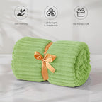 BEDELITE Fleece Blanket Twin Size – 3D Ribbed Jacquard Soft and Warm Decorative Fuzzy Blankets – Cozy, Fluffy, Plush Lightweight Throw Blankets for Couch, Bed, Sofa(Sage Green, 60x80 inches)