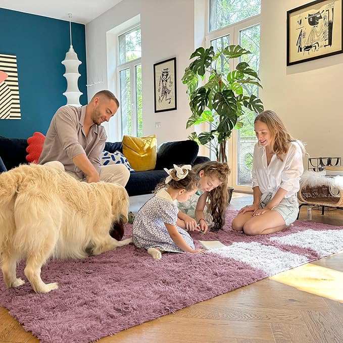 OLANLY 3x5 Machine Washable Small Bedside Rug, Soft Fluffy Shaggy Rugs for Living Room, Bedroom, Indoor Floor Carpet for Kids Girls and Boys, Preppy Dorms, Nursery, Home Decor Aesthetic, Blush