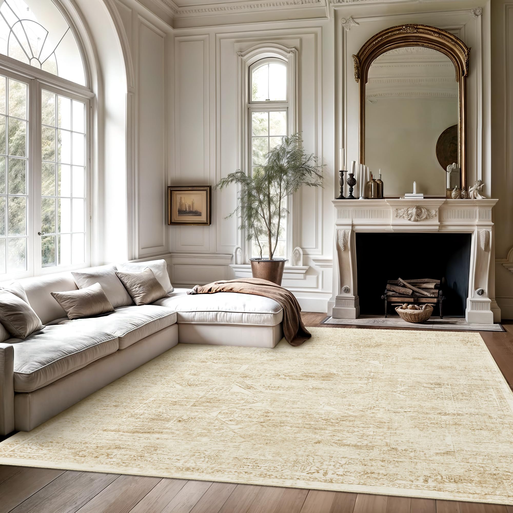 Soalmost Washable Area Rug 8x10 Large Soft Living Room Rugs Beige/Ivory