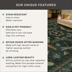 6x9 Dark Green Area Rugs for Dining Room - Rugs for Living Room, Bedroom Under Bed, Insect Moth Floral Non Slip Low Pile Floor Carpet
