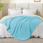 BEDELITE Light Blue Throw Blanket for Couch, Soft Gifts for Women, 50 * 60