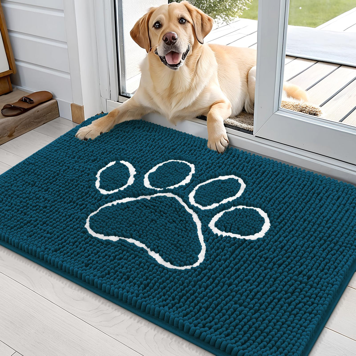 OLANLY Dog Door Mat for Muddy Paws 35x24, Super Absorbent Chenille Mud Mat