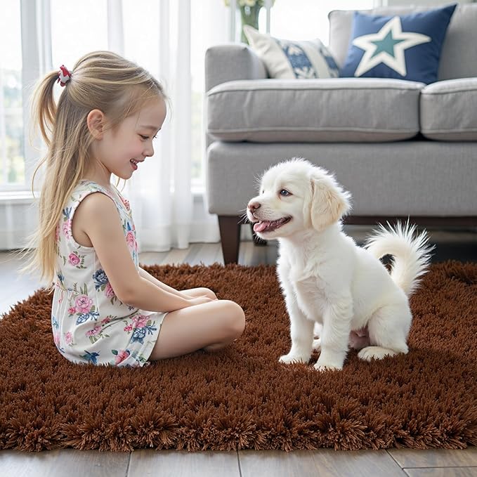 Small Rugs for Bedroom 2x3, Soft Area Rug for Living Room Dorm, Non Slip Shag Rugs for Girls Boys Bedroom, Soft Kids Carpet, Modern Home Decor Aesthetic(Coffee, 2 x 3)