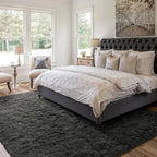 5x7 Ft Shag Area Rug for Bedroom, Ultra Soft Fluffy Furry Rugs for Living Room Indoor Floor, Aesthetic Carpet for Kids Home Decor (Grey)