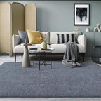 AROGAN 6x9 Area Rugs for Living Room Non Slip Dorm Bedroom Rug, Blue