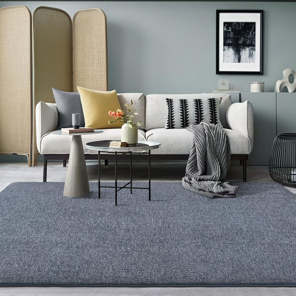 AROGAN 5x7 Area Rugs for Living Room Non Slip Dorm Bedroom Rug, Blue