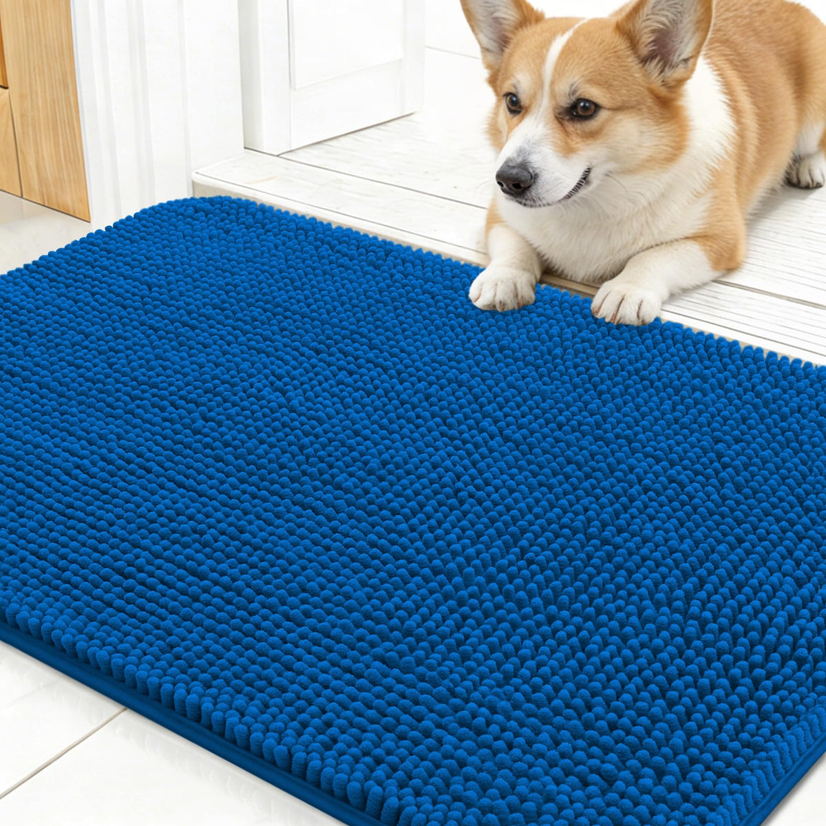 OLANLY Dog Door Mat for Muddy Paws 30x17, Super Absorbent Chenille Mud Mat