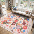 Babovid Blush Area Rug 6x9 for Living Room Bedroom