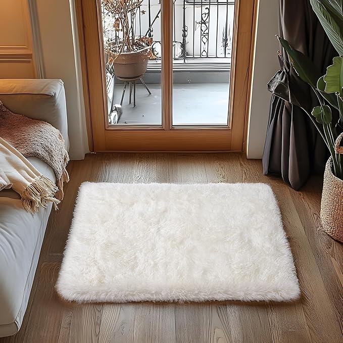 Quntue Small Area Rug, 2x3 Rug for Bedroom Shaggy Throw Rugs for Dorm Rug, Soft Shag Carpet for Kids Room, Plush Comfy Fluffy Bedside Rug for Home Decor Aesthetic, Cream White