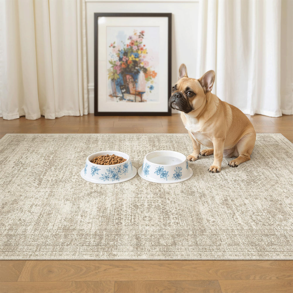 Soalmost 3x4 Rugs Non-Slip, Small Washable Kitchen Entryway Area Rug Beige