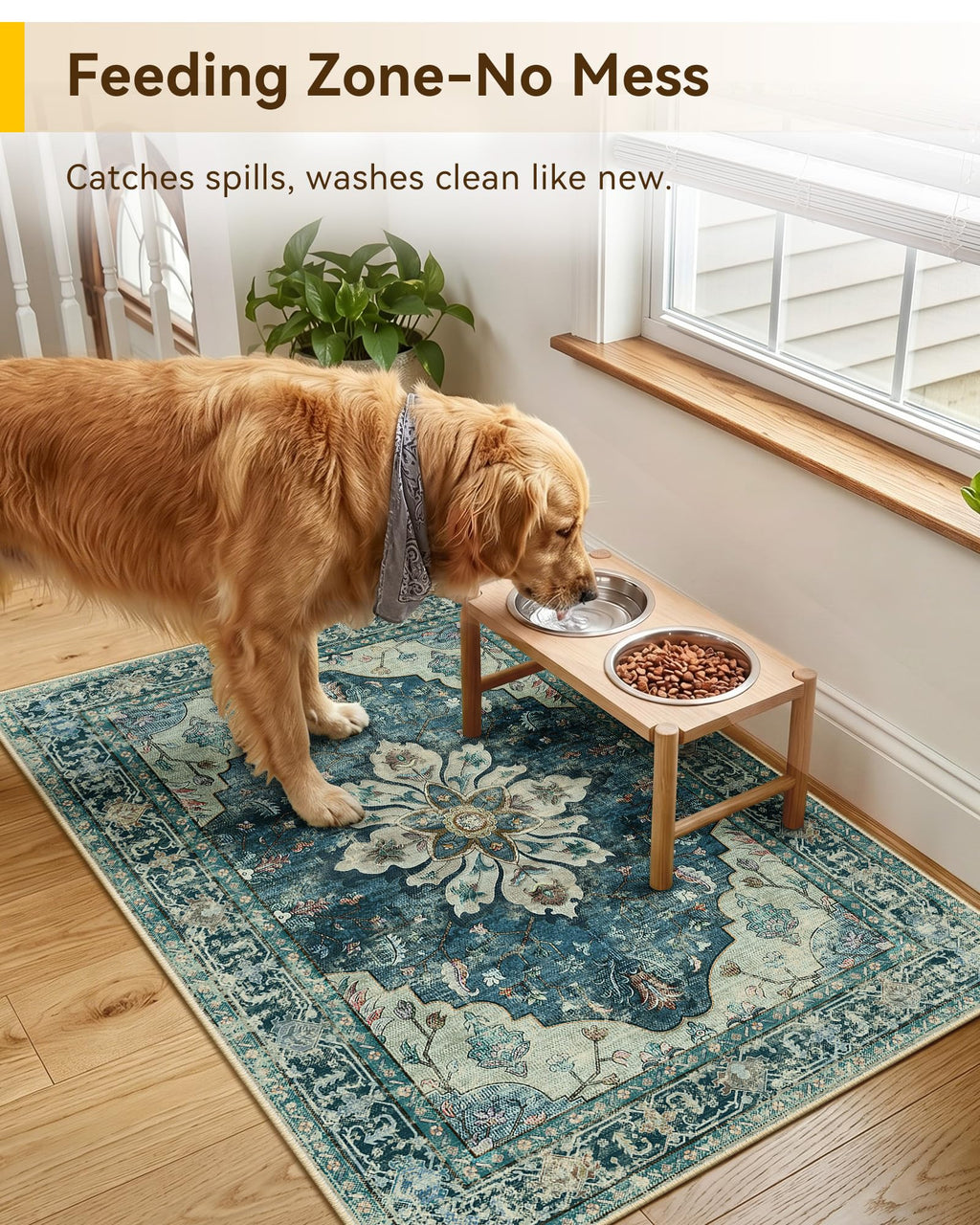 RELEANY Washable Area Rug, Small 2'x3', Teal