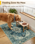 RELEANY Washable Area Rug, Small 2'x3', Teal