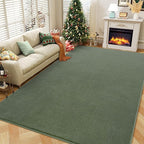 Amearea Modern Area Rugs for Bedroom Living Room, 4x6 Feet Sage Green Thickened Memory Foam Rug, Fluffy Indoor Washable Rugs Non Slip Minimalist Carpet for Kids Boys Girls Dorm Nursery Room Decor