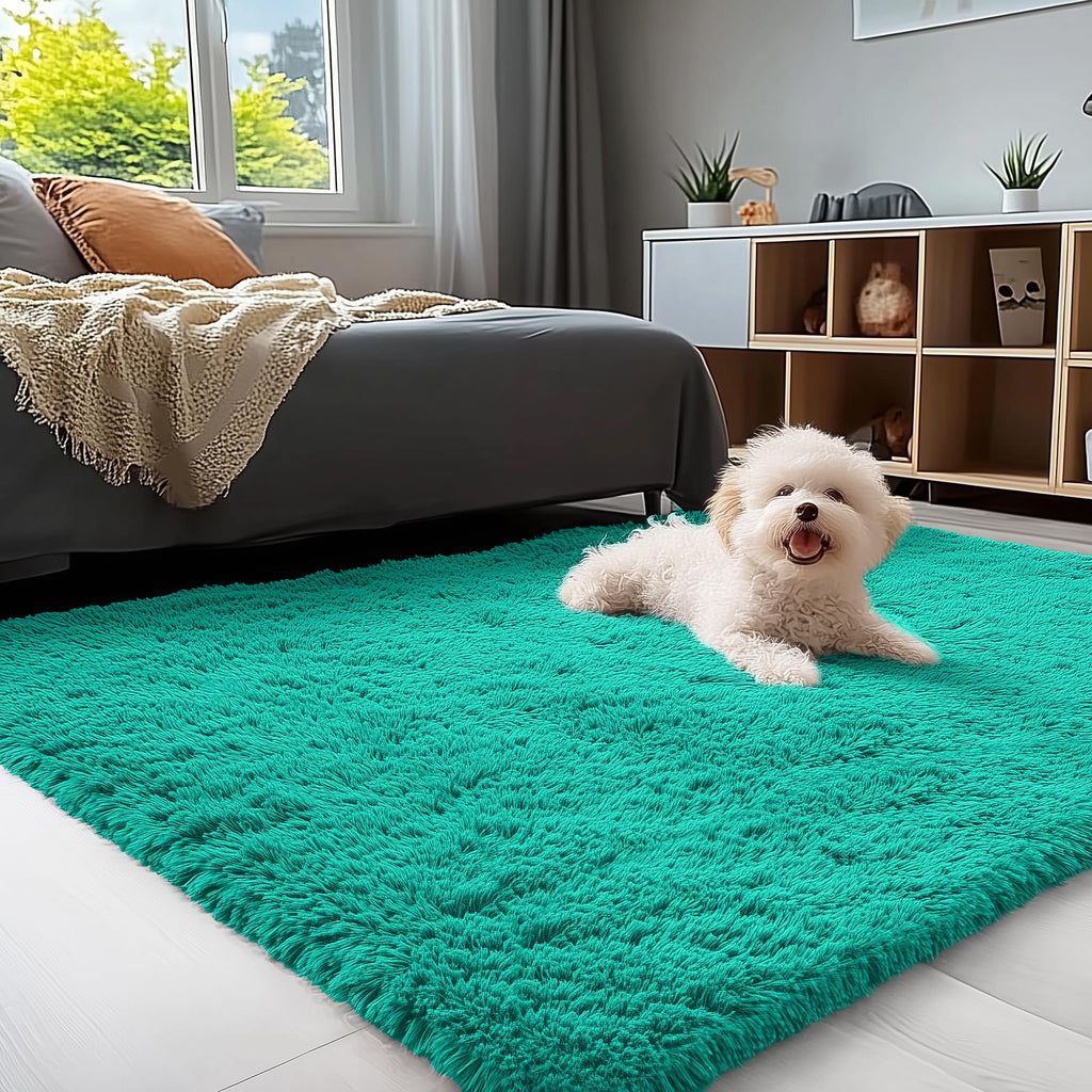 OLANLY 3x5 Machine Washable Small Bedside Rug, Soft Fluffy Shaggy Rugs for Living Room, Bedroom, Indoor Floor Carpet for Kids Girls and Boys, Preppy Dorms, Nursery, Home Decor Aesthetic, Teal Green