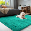 OLANLY 3x5 Machine Washable Small Bedside Rug, Soft Fluffy Shaggy Rugs for Living Room, Bedroom, Indoor Floor Carpet for Kids Girls and Boys, Preppy Dorms, Nursery, Home Decor Aesthetic, Teal Green