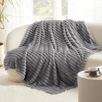 Bedsure GentleSoft Frost Gray Fleece Blanket for Couch -Cozy Soft Blankets for Women, Cute Small Throws for Girls, 60x80 Inches