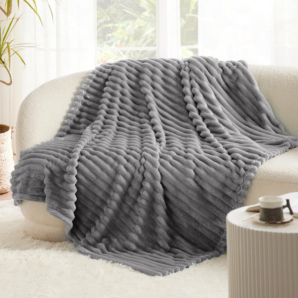 Bedsure Soft Twin XL Blanket for Bed Dorm Frost Gray 66"x90"