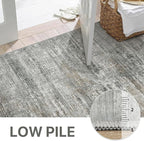 BEIMO Area Rugs 5x7 for Living Room Bedroom, Modern Abstract Machine Washable Rug, Large Soft Low Pile Floor Cover with Non Slip Backing for Dining Room, Ash Gray Brown