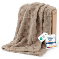 Bedsure Checkered Fleece Throw Blankets for Bed/Couch, Ashley Blue,50"×70"