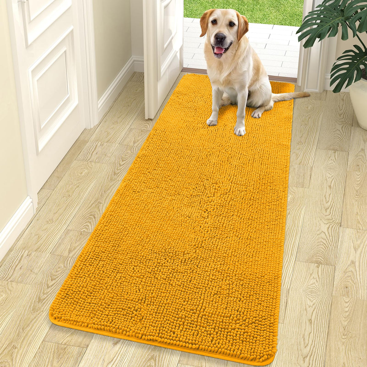 OLANLY Dog Door Mat for Muddy Paws 70x24, Super Absorbent Chenille Mud Mat