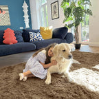 OLANLY 5x7 Machine Washable Large Area Rugs for Living Room, Bedroom, Soft Fluffy Shaggy Bedside Rug, Indoor Floor Carpet for Kids Girls and Boys, Dorms, Nursery, Home Decor Aesthetic, Taupe