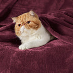 Bedsure GentleSoft Fleece Blanket Twin Size Red - 300GSM Lightweight Plush Fuzzy Cozy Soft Warm Blanket for Bed, Sofa, Couch, Travel, Camping, 60x80 inches