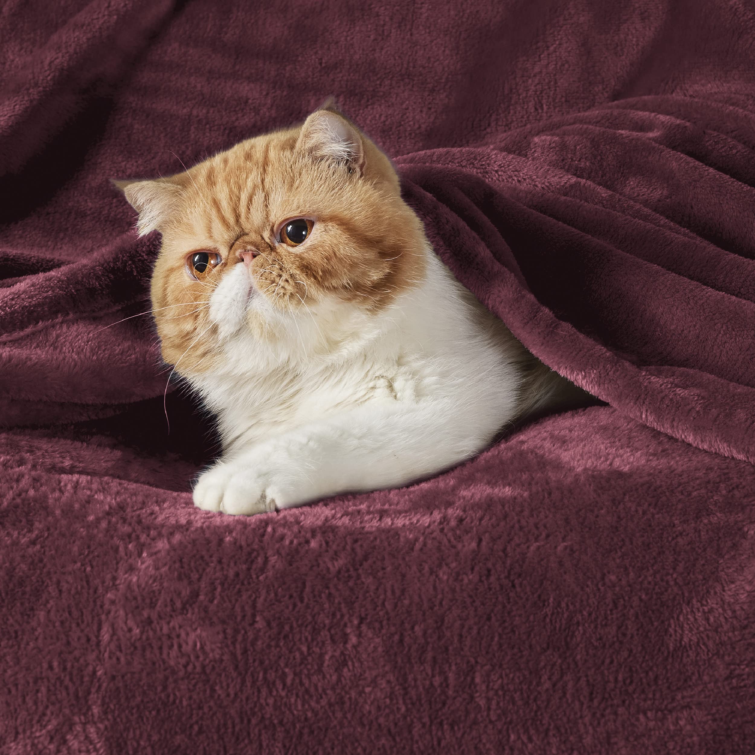 Bedsure GentleSoft Fleece Blanket Twin Size Red - 300GSM Lightweight Plush Fuzzy Cozy Soft Warm Blanket for Bed, Sofa, Couch, Travel, Camping, 60x80 inches