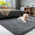 OLANLY 3x4 Machine Washable Accent Rug, Soft Fluffy Shaggy Area Rug for Bedroom, Living Room, Indoor Floor Carpet for Kids, Nursery, Home Decor, Grey