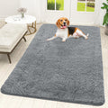 OLANLY Dog Door Mat for Muddy Paws 70x46, Super Absorbent Chenille Mud Mat