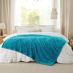 Bedsure Teal Fleece Blanket for Couch - Super Soft Cozy Twin Blankets for Women, Cute Small Throws for Girls, 60x80 Inches