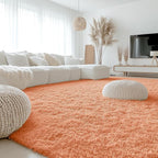 OLANLY 9x12 Machine Washable Large Area Rugs for Living Room, Bedroom, Soft Fluffy Shaggy Bedside Rug, Indoor Floor Carpet for Kids Girls and Boys, Dorms, Nursery, Home Decor, Muted Orange