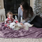Bedsure GentleSoft Fleece Blankets Twin Size Fog Purple - 300GSM Lightweight Plush Fuzzy Cozy Soft Blanket for Bed, Sofa, Couch, Travel, Camping, 60x80 inches