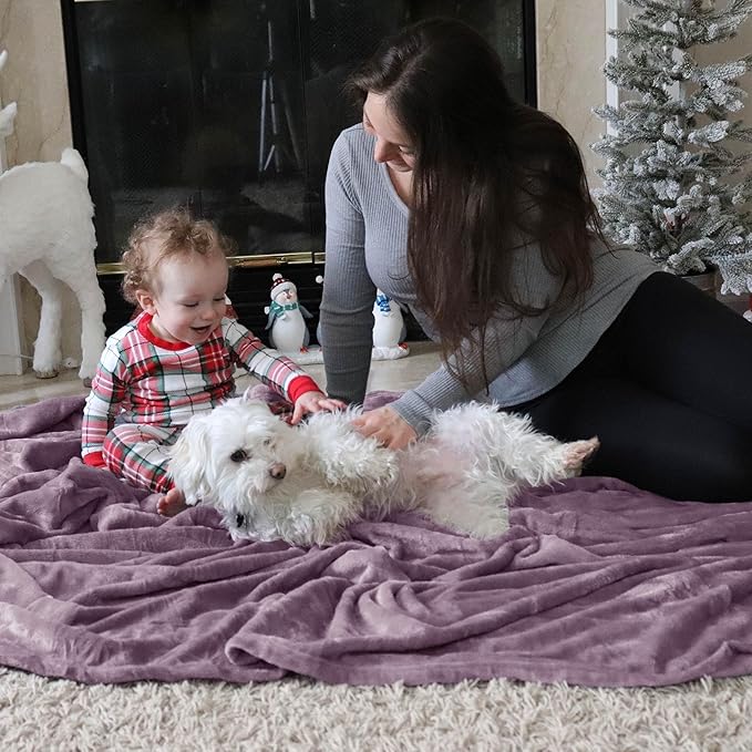 Bedsure GentleSoft Fleece King Size Blankets for Bed Fog Purple - Soft Lightweight Plush Cozy Fuzzy Luxury Microfiber, 108x90 inches