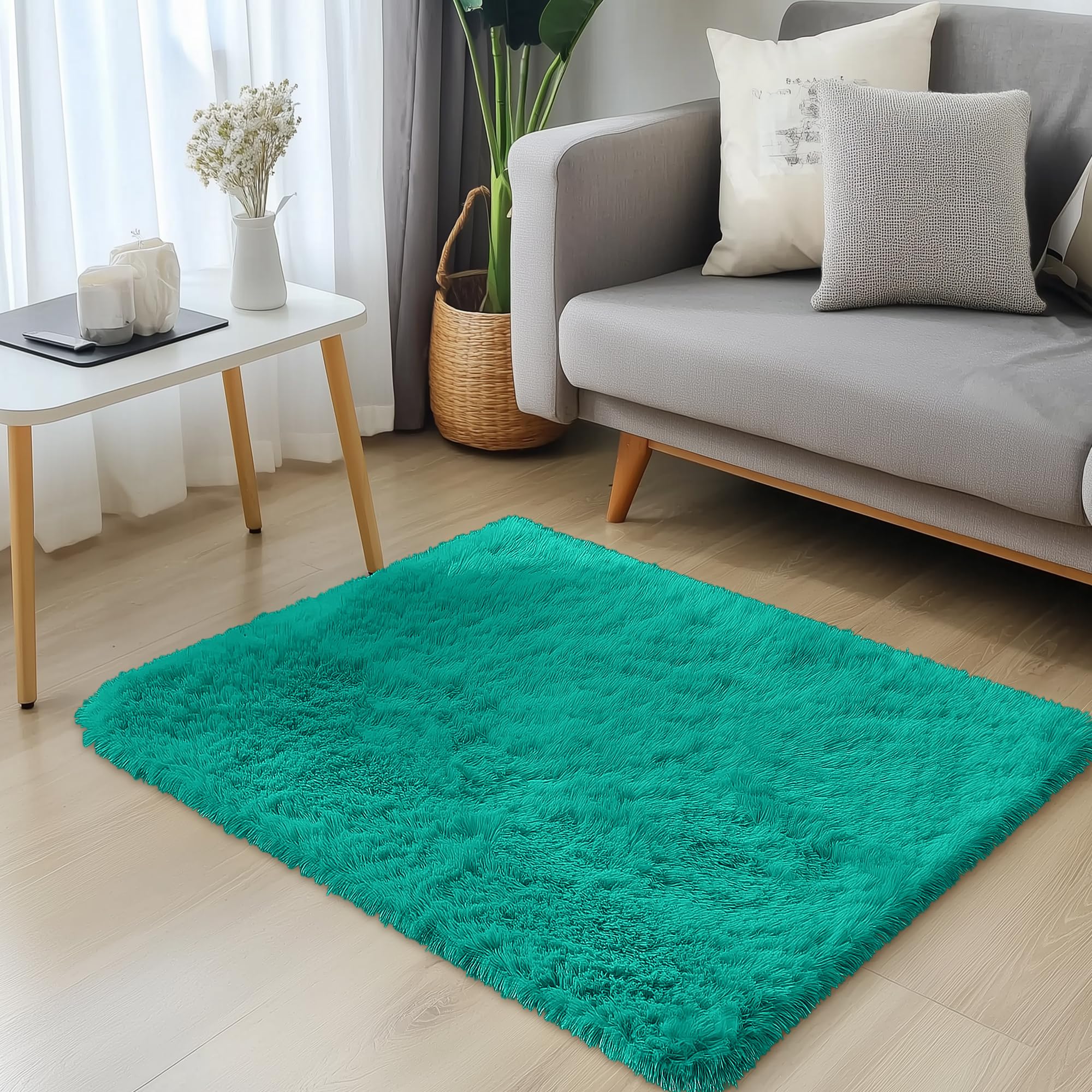 OLANLY 3x5 Machine Washable Small Bedside Rug, Soft Fluffy Shaggy Rugs for Living Room, Bedroom, Indoor Floor Carpet for Kids Girls and Boys, Preppy Dorms, Nursery, Home Decor Aesthetic, Teal Green