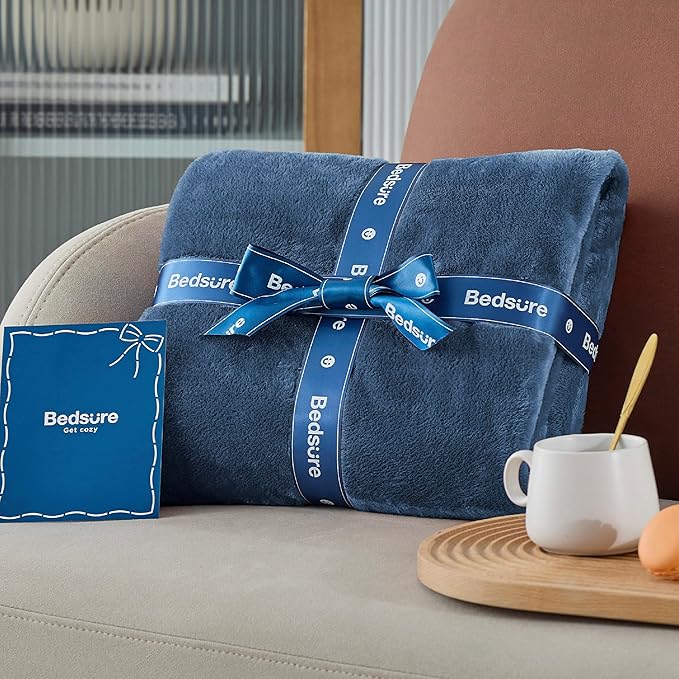 Bedsure GentleSoft Fleece Blanket Twin Size Mineral Blue - 300GSM Lightweight Plush Fuzzy Cozy Soft Warm Blanket for Bed, Sofa, Couch, Travel, Camping, 60x80 inches