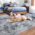 Rugs for Bedroom 4x6, Soft Shaggy Modern Shag Area Rug for Living Room, Upgrade Non-Slip Plush Fluffy Carpet for Kids Boys Girls Room Home Decor Aesthetic, Light Grey