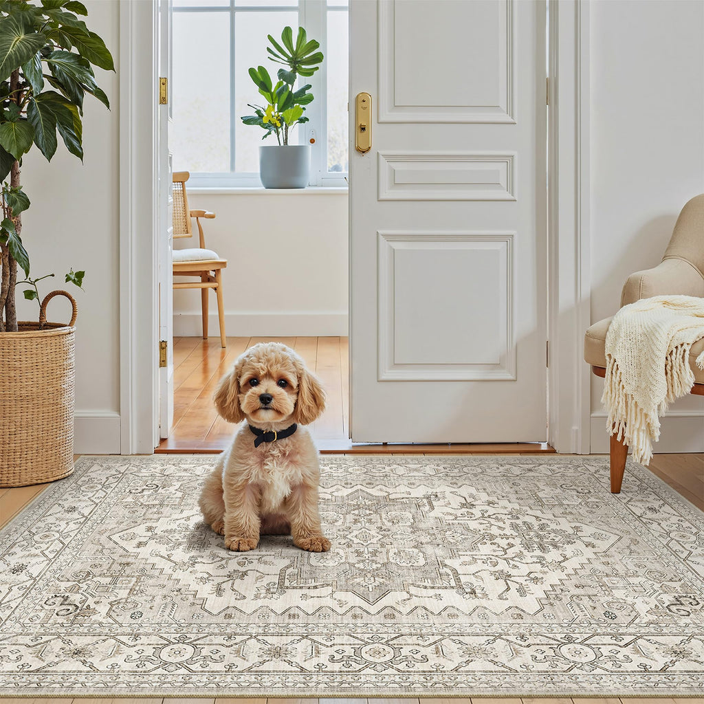 Madane Washable Entry Rug 3x4 Area Rugs for Entryway Kitchen, Beige/Brown