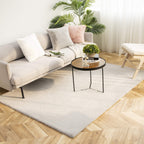 Ashler Faux Fur Rug, Ultra Soft Faux Rabbit Fur, Grey Area Rugs, 4 x 6 Feet Rectangle, Machine Washable Nursery Decor Throw Rugs for Bedroom, Kids Room, Living Room