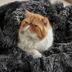 Bedsure GentleSoft Fluffy Black Blanket Cozy Gifts for Men, Black Home Decor Soft Fuzzy Plush Thick Warm Sherpa Fleece Faux Fur Throw Blanket for Couch Bed, Living Room College Dorm Decor, 50x60