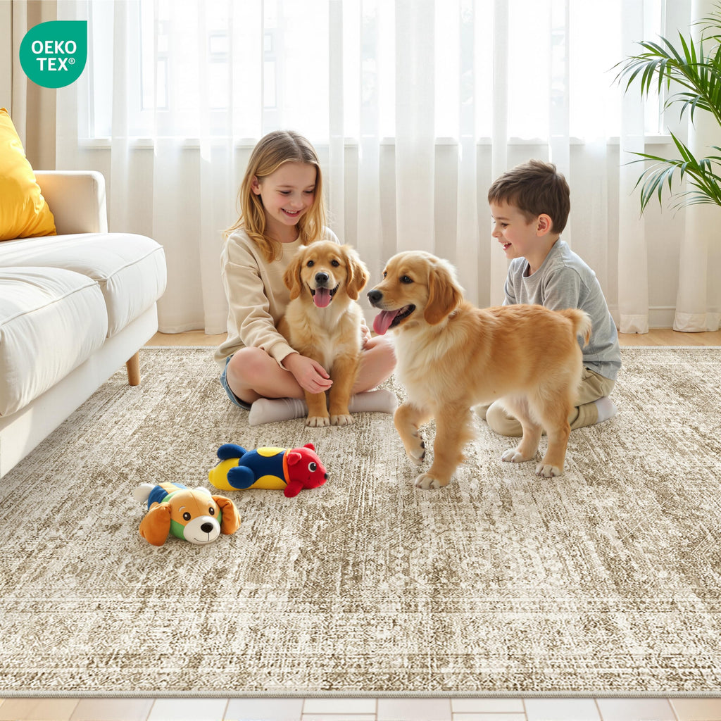 Restydon 5x7 Area Rugs for Living Room,Large Washable Rug,Brown