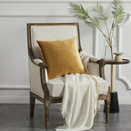 GIGIZAZA Golden Throw Pillow Covers 20x20 Decorative Velvet Cushion Covers Pack of 2 Pillowcase for Sofa