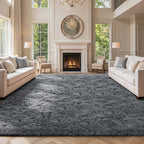 Shag Area Rugs for Bedroom Living Room,5X8 Ultra Soft Fluffy Area Rugs for Dorm,Indoor Carpet Plush Rugs for Home Decor,Dark Grey