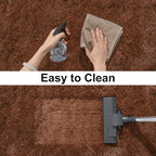 Soft Runner Rugs for Bedroom Hallways, 2x4 Brown Fluffy Shag Throw Area Rug Non Slip for Bedside Dorm, Long Shaggy Furry Carpet for Nursery Living Room