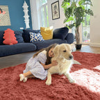 OLANLY 8x10 Machine Washable Large Area Rugs for Living Room, Bedroom, Soft Fluffy Shaggy Bedside Rug, Indoor Floor Carpet for Kids Girls and Boys, Dorms, Nursery, Home Decor Aesthetic, Rust Red
