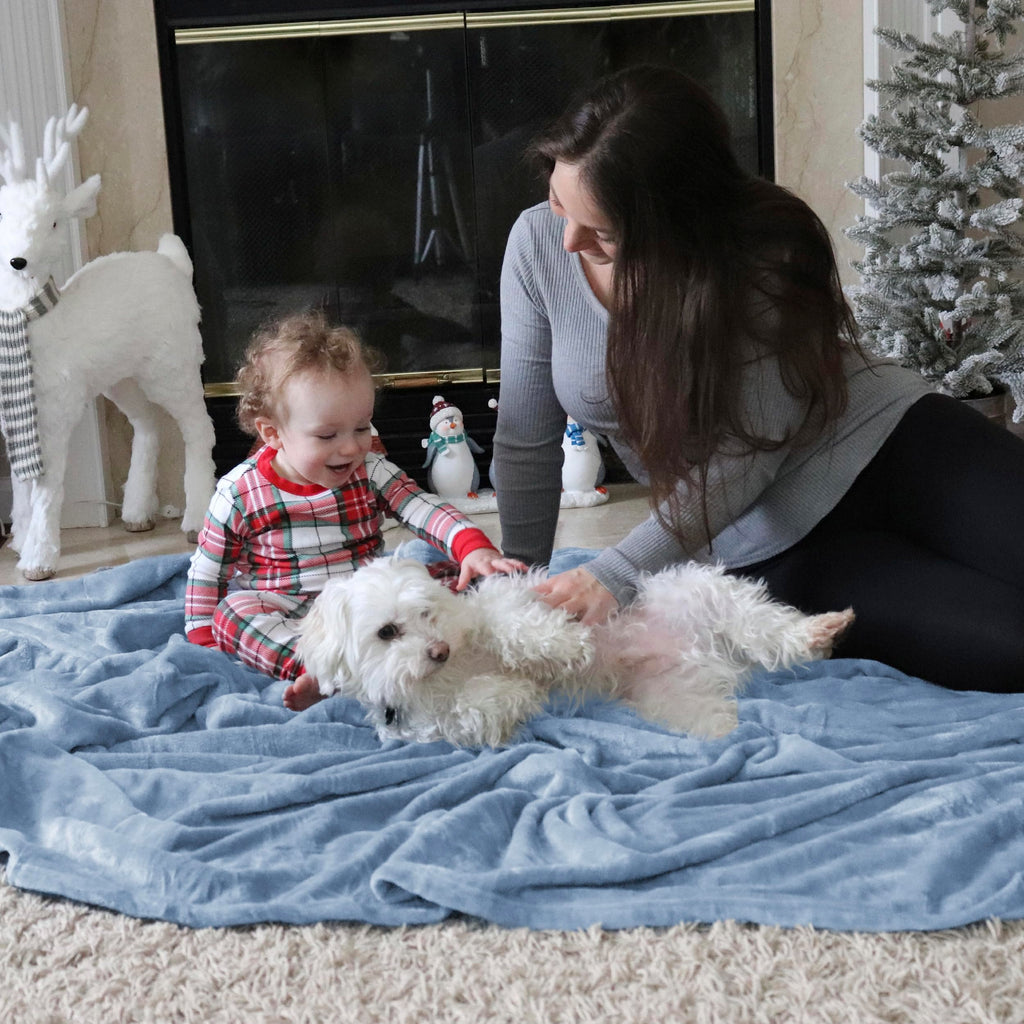 Bedsure GentleSoft Fleece King Size Blankets for Bed Light Blue - Soft Lightweight Plush Cozy Fuzzy Luxury Microfiber, 108x90 inches