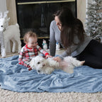 Bedsure GentleSoft Fleece King Size Blankets for Bed Light Blue - Soft Lightweight Plush Cozy Fuzzy Luxury Microfiber, 108x90 inches