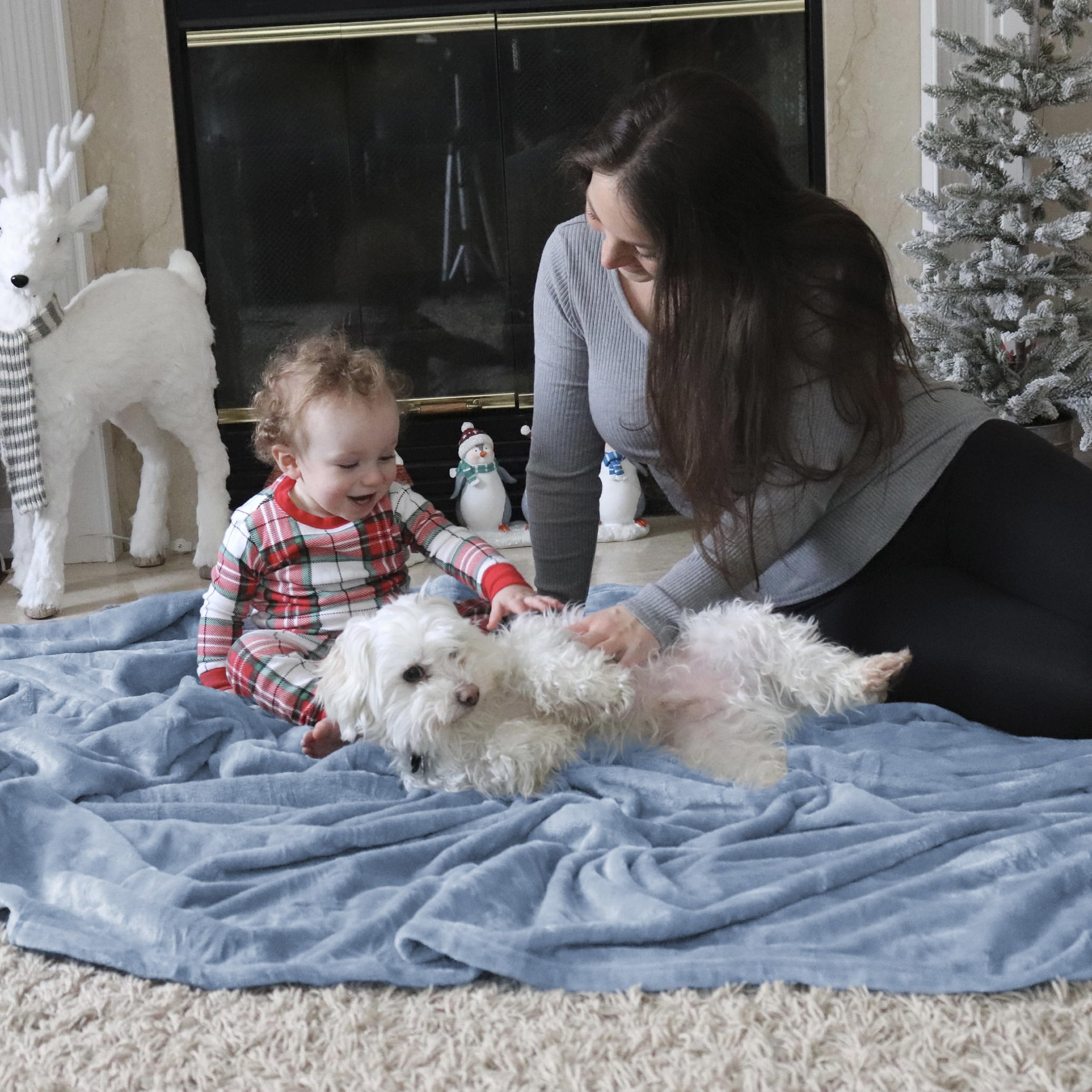 Bedsure GentleSoft Fleece King Size Blankets for Bed Light Blue - Soft Lightweight Plush Cozy Fuzzy Luxury Microfiber, 108x90 inches